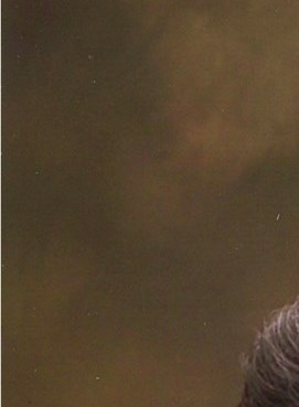 Zylphia Collen Obituary Rockford, IL