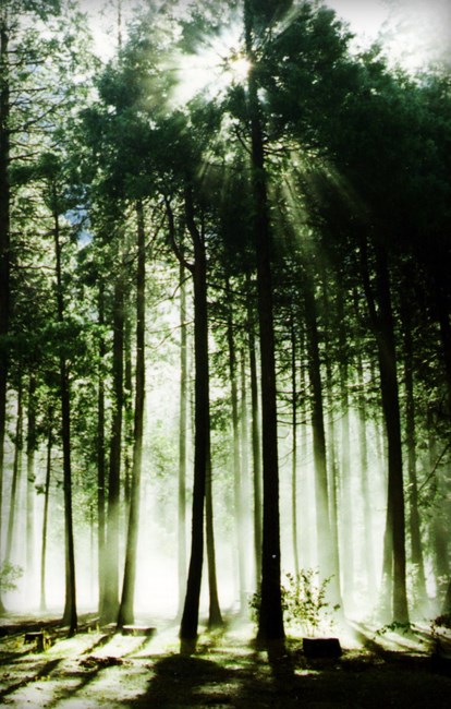 Obituario de William Lee Johnson