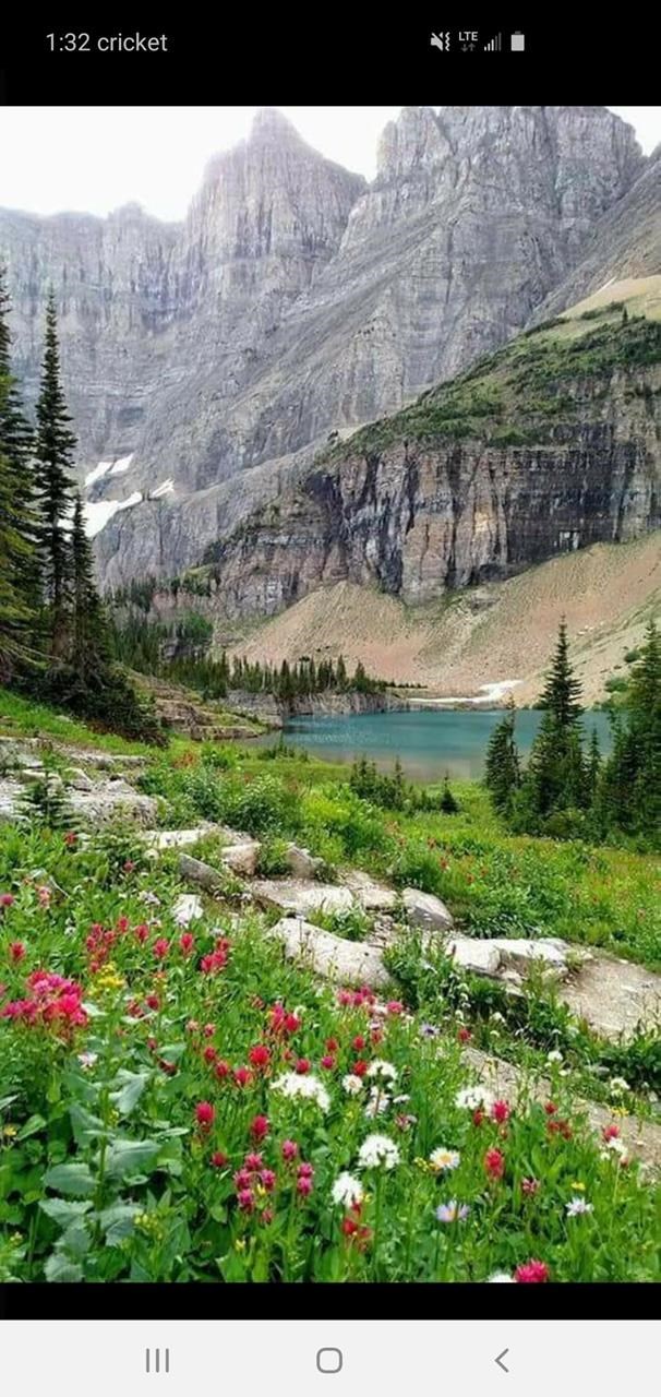 Obituary of Eloisa Herrera