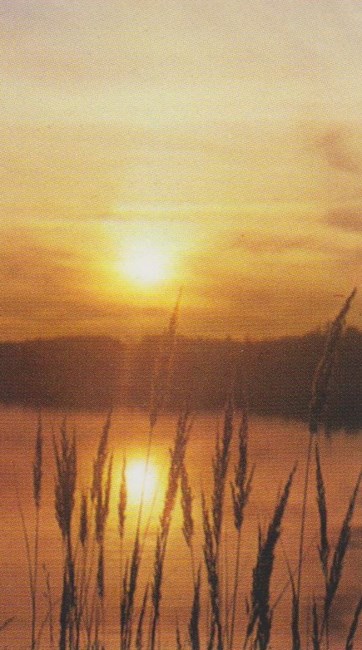 Obituary of John W. Dittmar Jr.