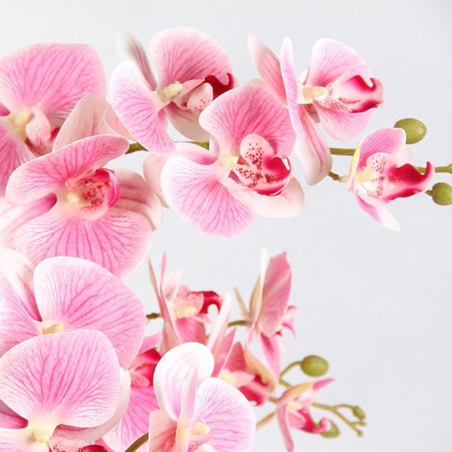 Obituary of Mrs. Wylodene (Bennett) Walker