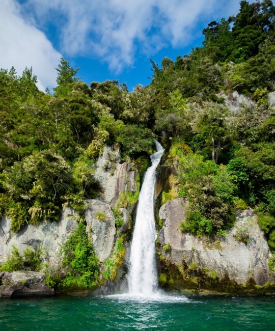 Obituary of Nicholas Vincent Bavaro