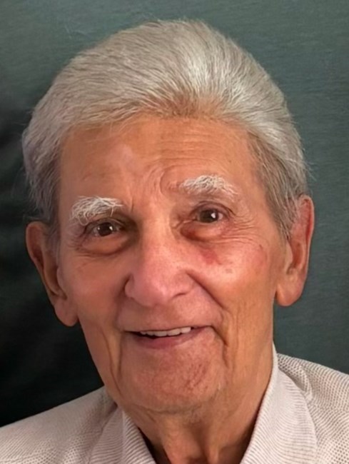 Obituary of Louis Manfra Jr.