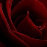 Obituary of Mary Ruth Thaxton