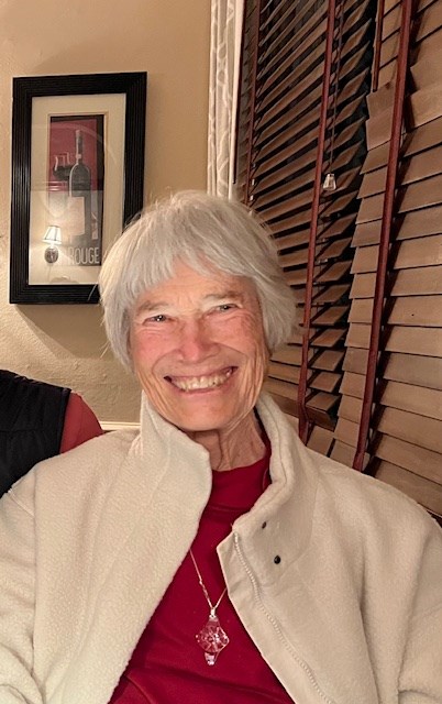 Obituary of Sandra Elyse Awad