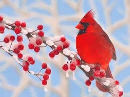 Obituary of Deborah Davis Brewer