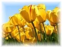 Obituary of Aleta Ann Rutka