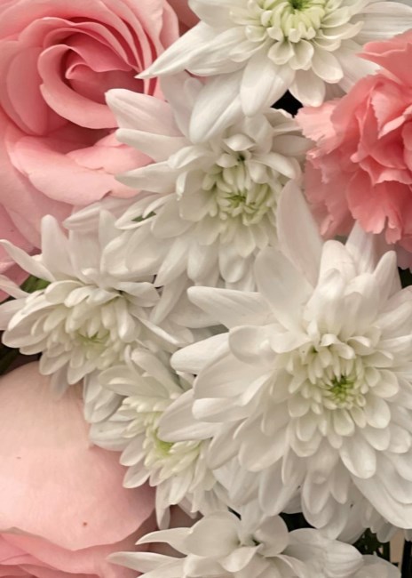 Avis de décès de Timothy James Beauchamp