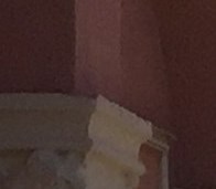 Ryan Root Obituary - North Palm Beach, FL