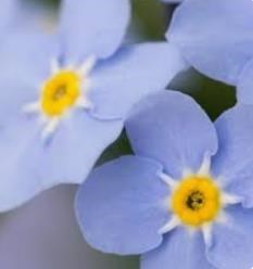 Obituary of Ruth Marianne Stevens