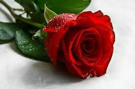 Obituary of Ruby Marie Gibson