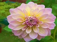 Obituary of Anne F. Lamb