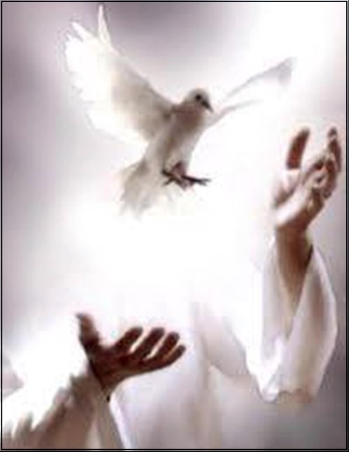 Obituary of Mary Louise Allen