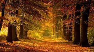 Obituary of Edward "Joe" Corbin