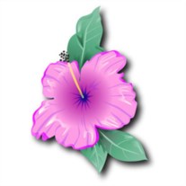 Obituary of Doris Britt Branch