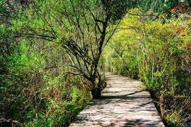 Obituary of Suzanne Dunn