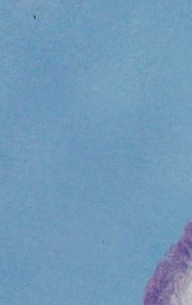Era Bryant Gober Obituary Jackson, MS
