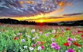 Obituary of Artemio Rangel Hernandez