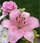 Obituary of Jean M. Folan