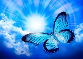 Obituary of Patricia Martin