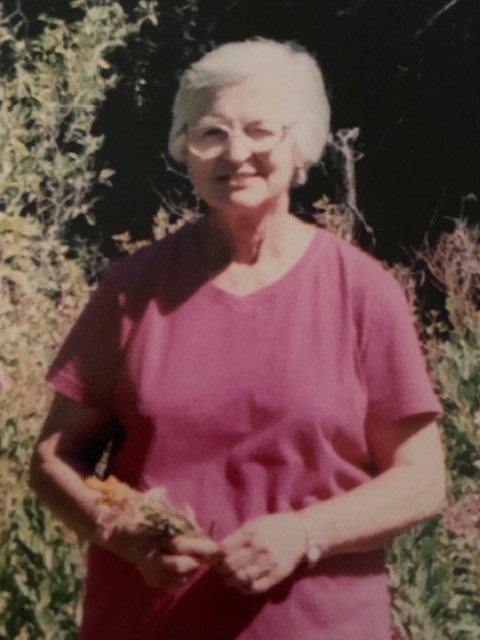Obituary of Giannina Carmen Tomassetti