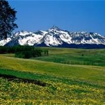 Obituary of Kimberly Jeanne Tolman