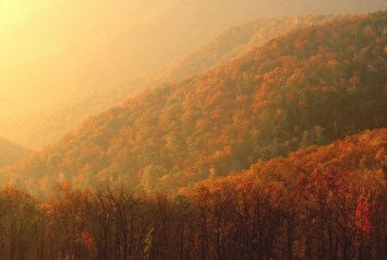 Obituary of Harold Gene Black