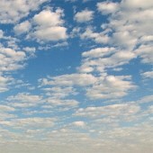 Obituary of Thomas Daniel Bridges