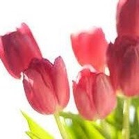 Obituary of Estelle Thompson