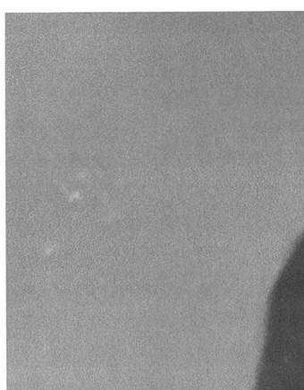 David Cunningham Obituary - Overland Park, KS