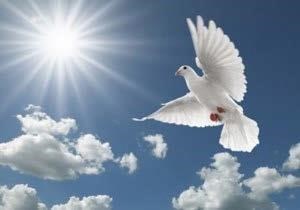 Obituary of Lidya S. Gonzalez