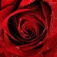 Obituary of Ruby Marie Brown
