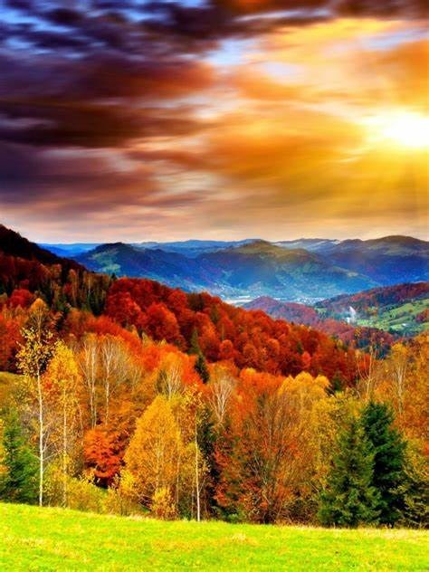 Obituary of Carol Ann Penrose