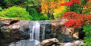 Obituary of Carmela Trezza Rizzetta