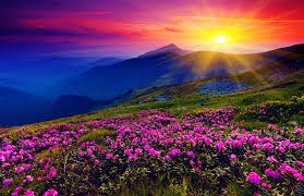 Obituary of Mary Alice Young Edmundson