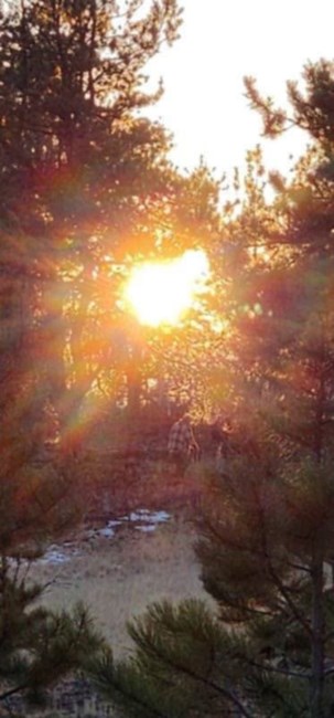 Obituary of Debra Kay Devore