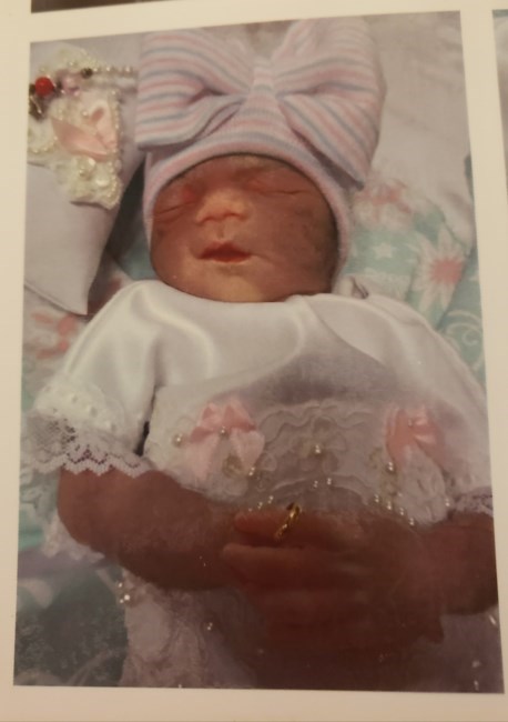 Obituary of Kinsley Katherine Ann Pringle