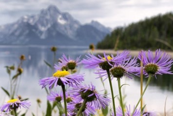 Obituary of Wilda Ann Glenn