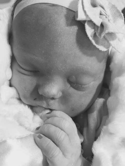 Obituary of Claire Elizabeth Greve