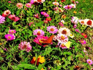 Obituary of Mary  Ellen Wilkerson Appleton