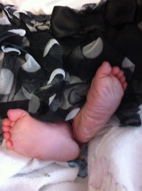 Obituary of Adalynn Nicole Sanchez