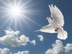 Obituary of Edward Myers