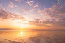 Obituary of Syed Mohammed Mohsen