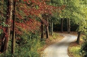 Obituary of Vesta AKA WESLEY, Betty Lou Louisa Wesley