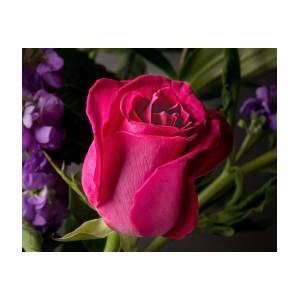 Obituary of Hung Huu Le