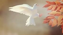 Obituary of Patricia Michelle Roth