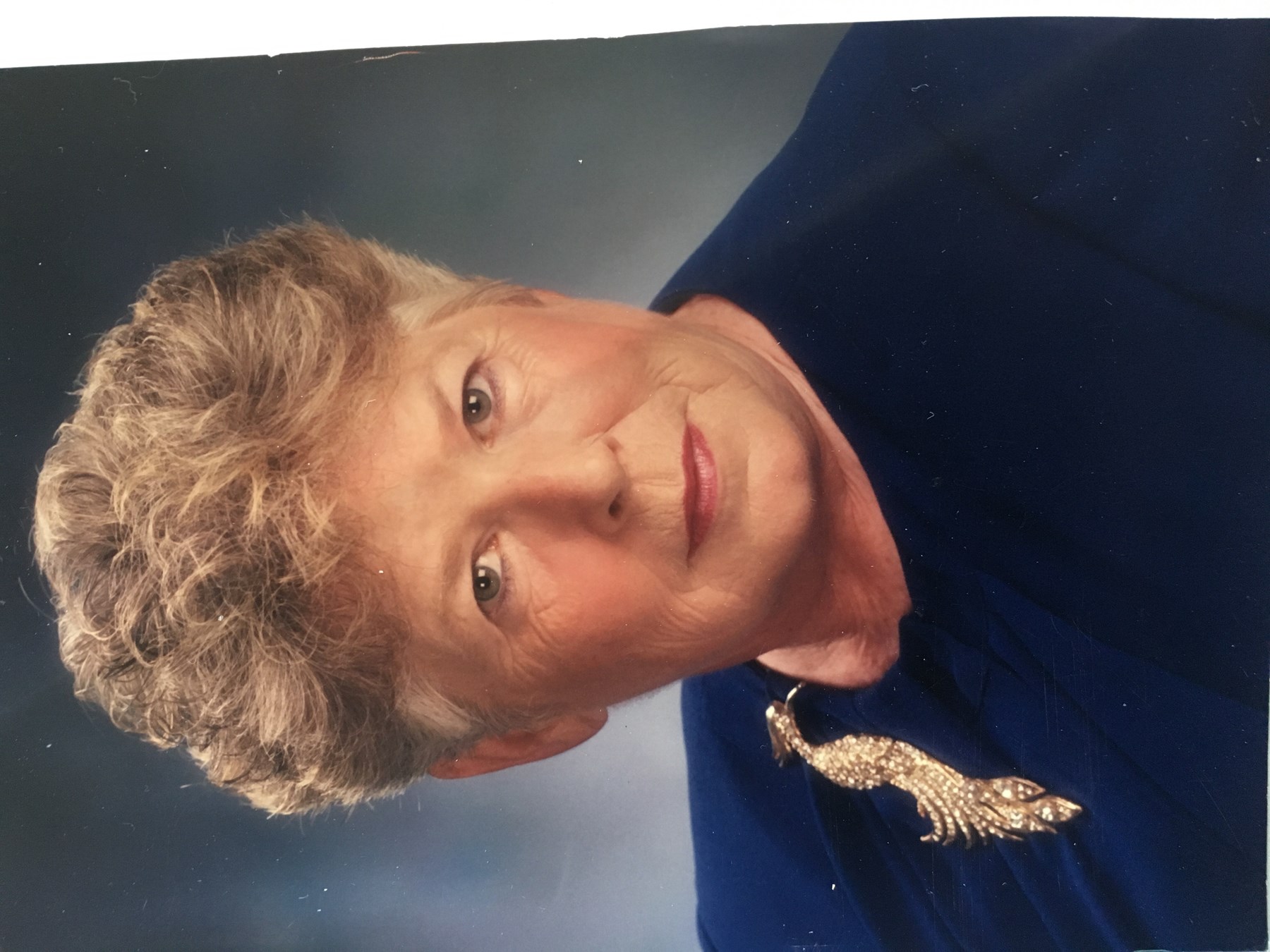 Obituary of Anne Bushnell Stinson