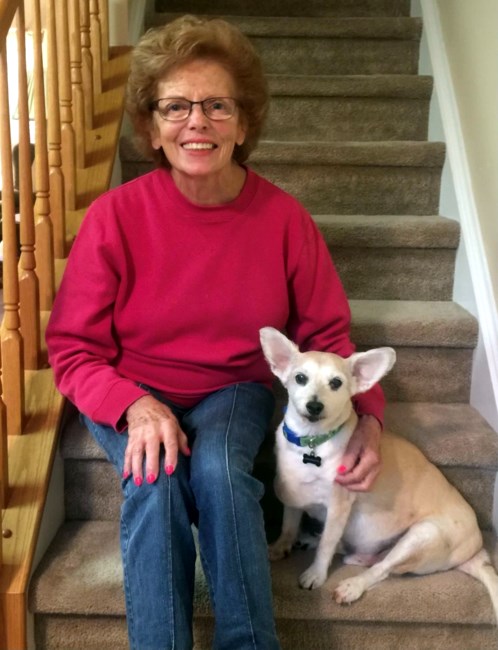 Obituary of Ann M. Walsh