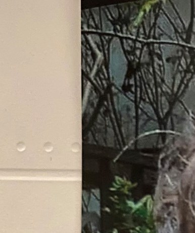 Annie R. Mathis Obituary - Pickens, SC