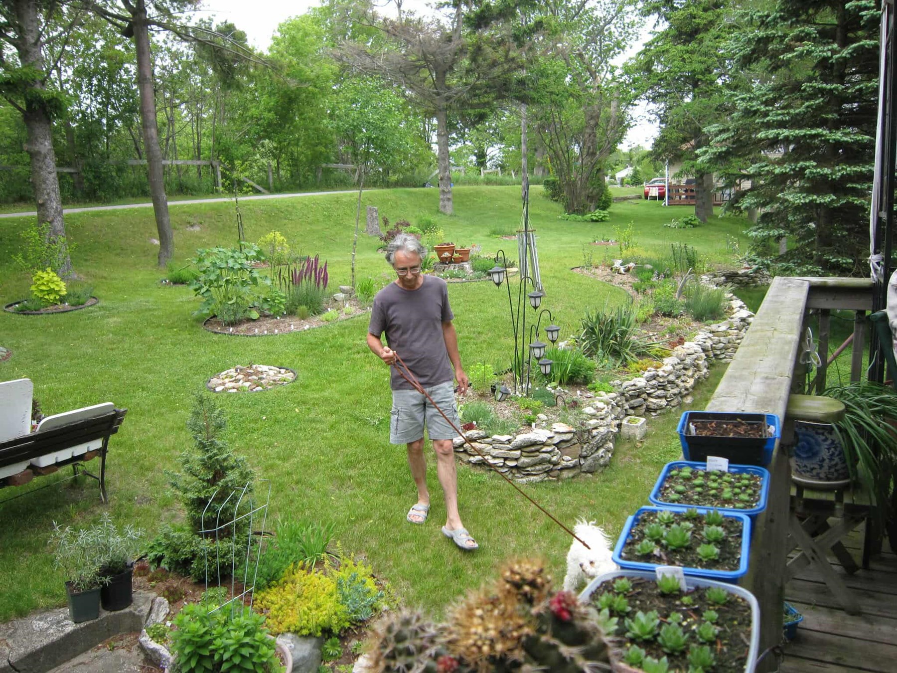 Obituary of Ron Poppa